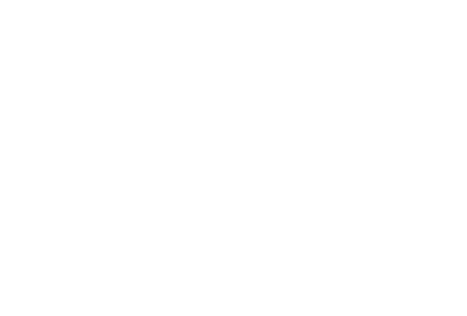 Logo WebElan